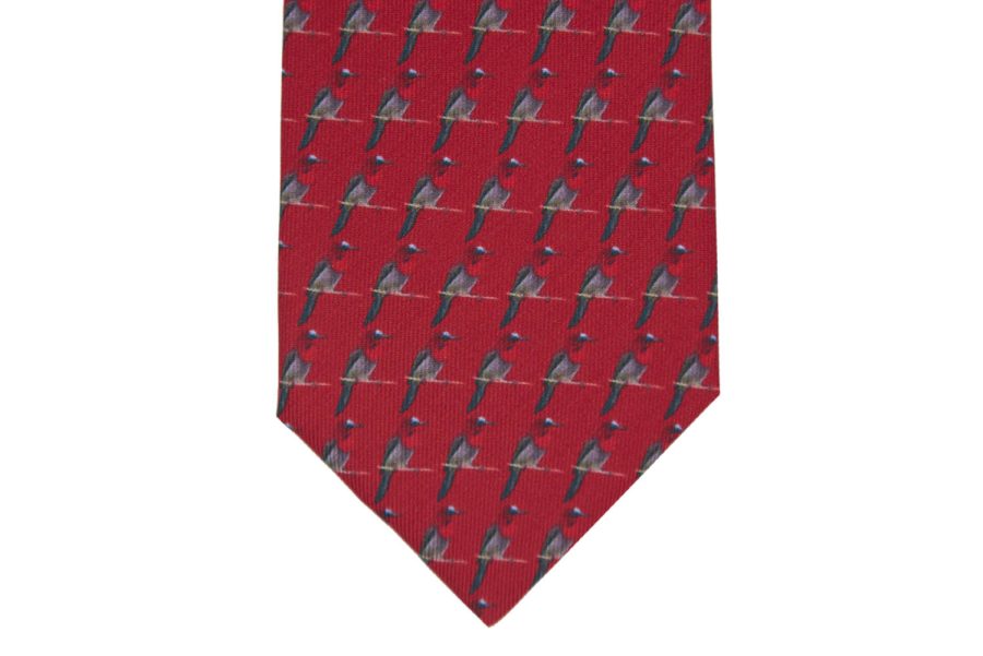 Μεταξωτή γραβάτα κόκκινη με παπαγάλους