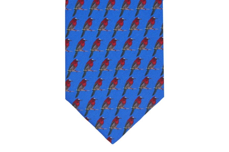 Μεταξωτή γραβάτα blue electric με παπαγάλους